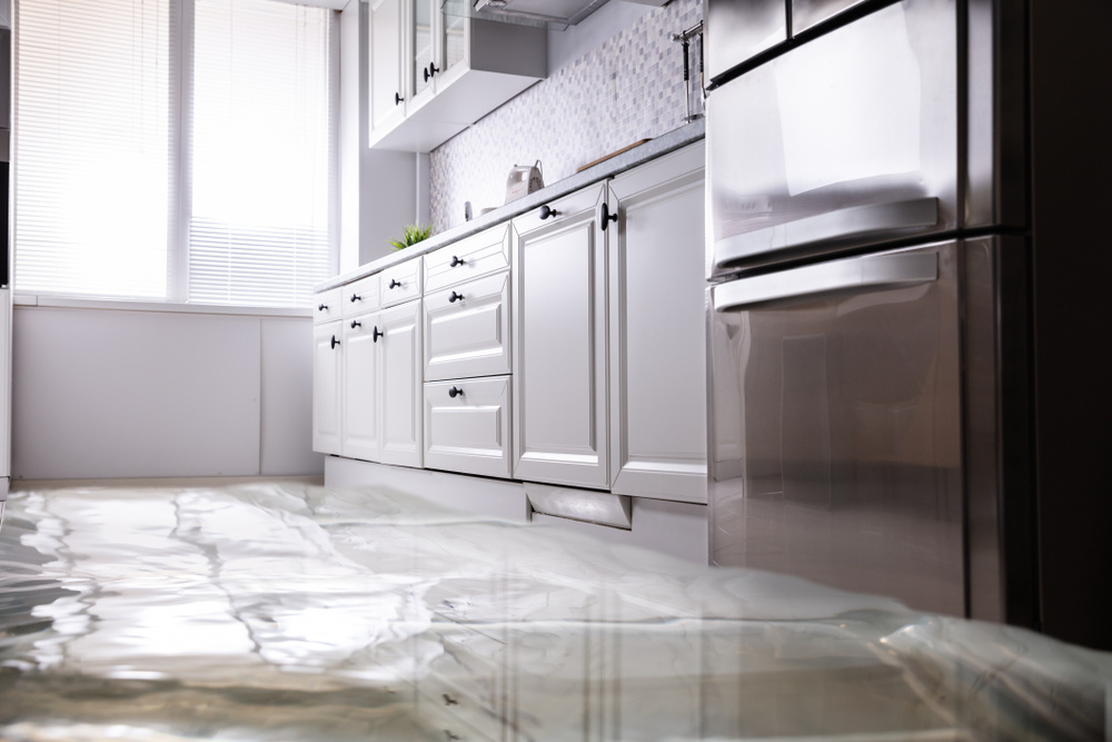 leaking refrigerator